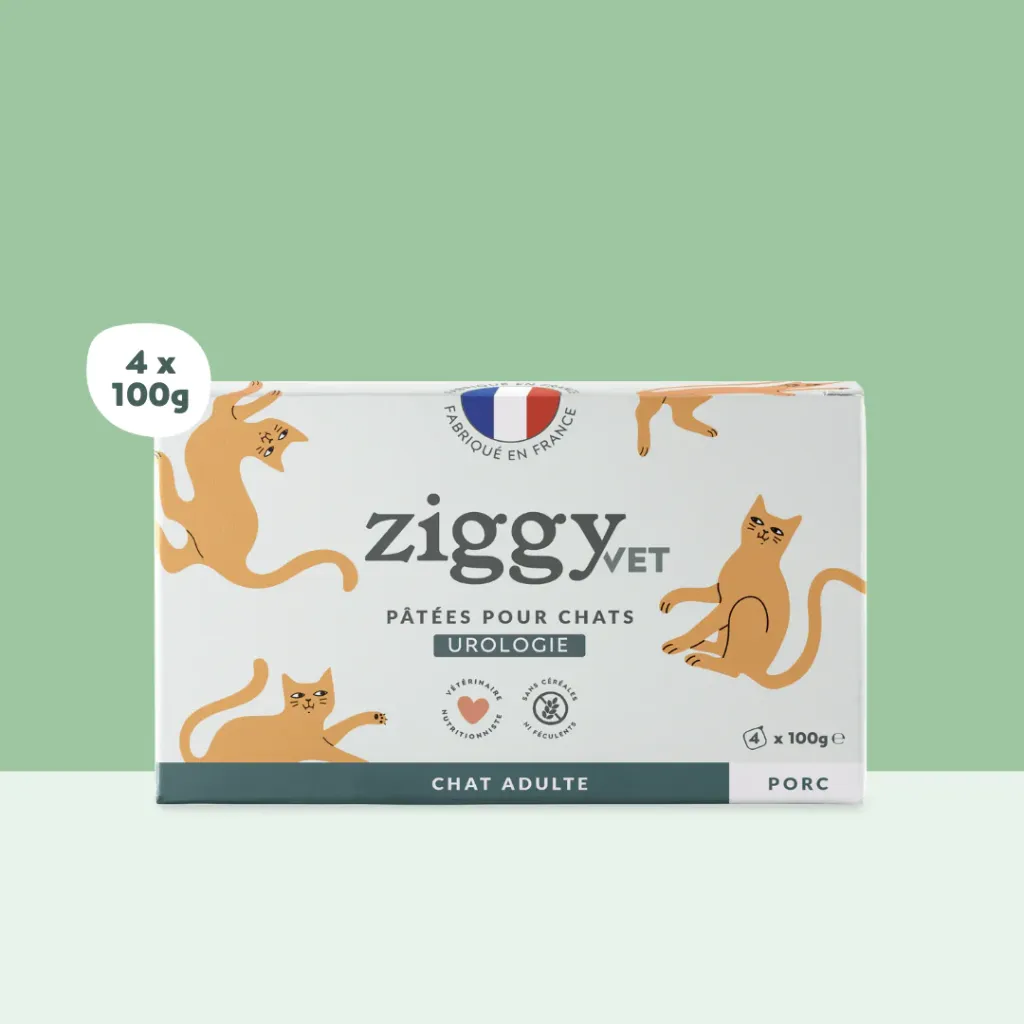 ZIGGY Pâtée Chat Adulte Urinaire Porc - 4x100g