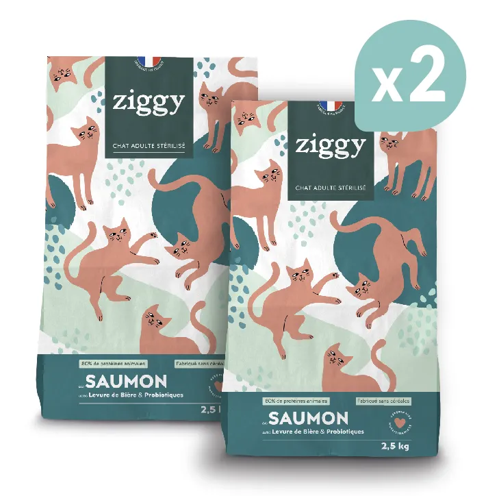 ZIGGY Croquettes Chat Stérilisé Sans Céréales au Saumon - 2x2.5kg