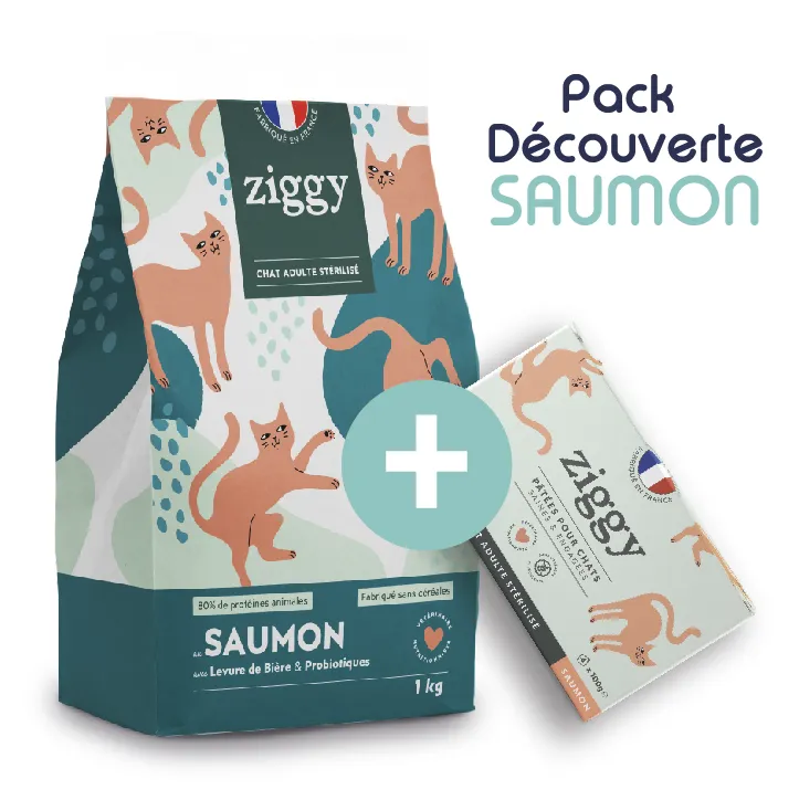 Pack Découverte Saumon - ZIGGY Croquettes Chat Stérilisé Sans Céréales au Saumon 1kg + Pâtée Chat Stérilisé Sans Céréales Saumon 4x100g