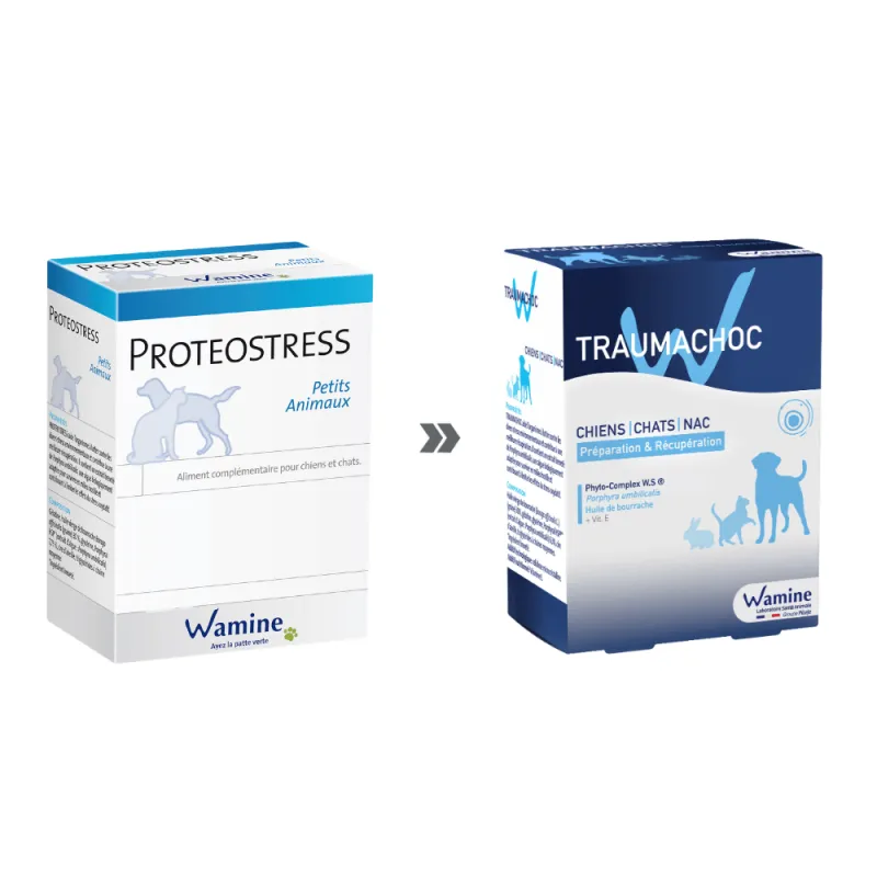 WAMINE TRAUMACHOC (Proteostress) Petits Animaux Complément alimentaire à base d'algues contre le stress pour chien & chat - Boîte de 12 capsules