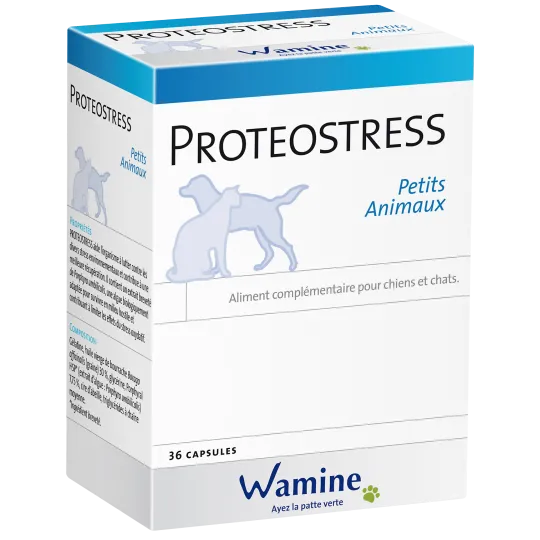 [76978/1882710] WAMINE PROTEOSTRESS Petits Animaux Complément alimentaire à base d'algues contre le stress pour chien & chat - 3 Boîtes de 12 capsules