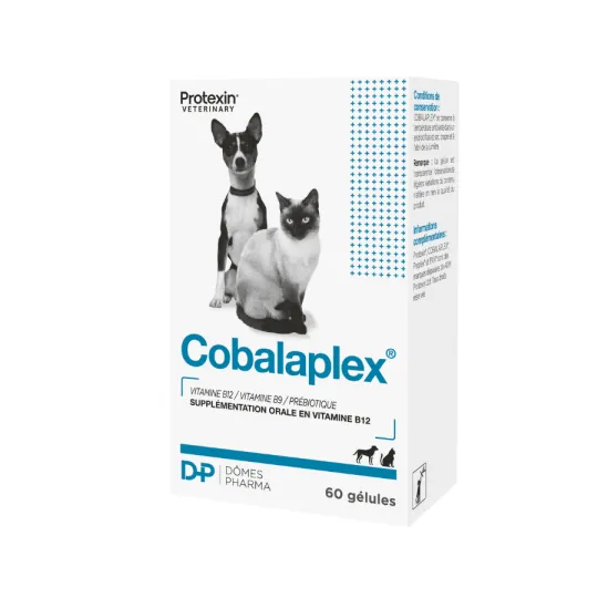 Dômes Pharma TVM Cobalaplex - complément troubles digestifs chien & chat
