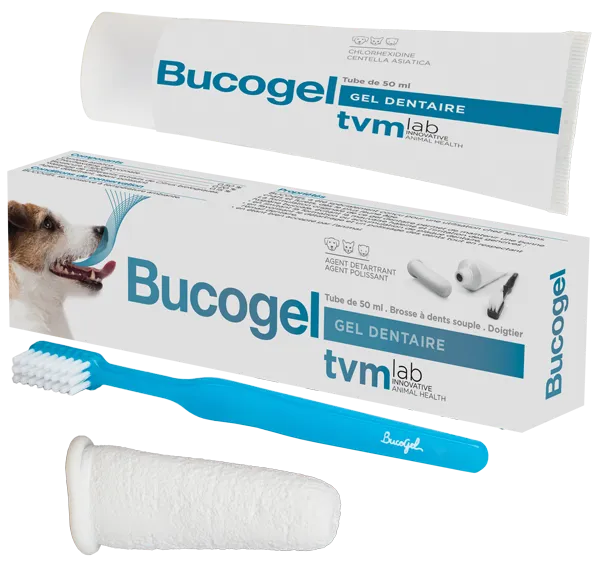 BUCOGEL TUBE 50 ML+ BROSSE
