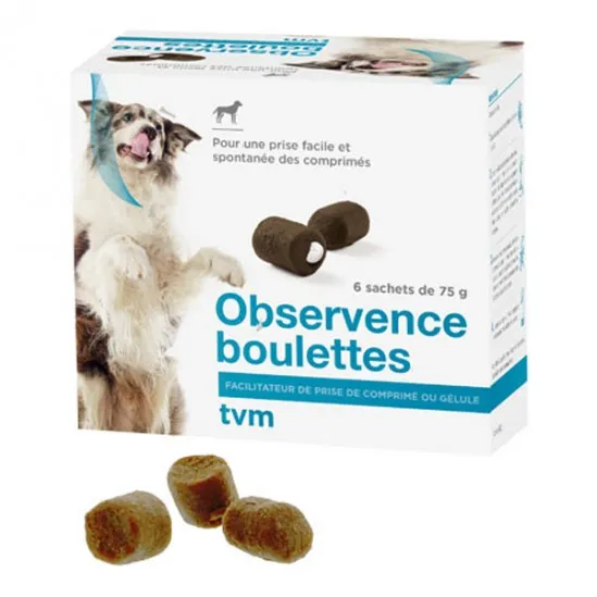[DP-65] OBSERVENCE CHIEN 15 BOULETTES